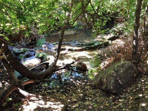 The stream in Nahal Amud.